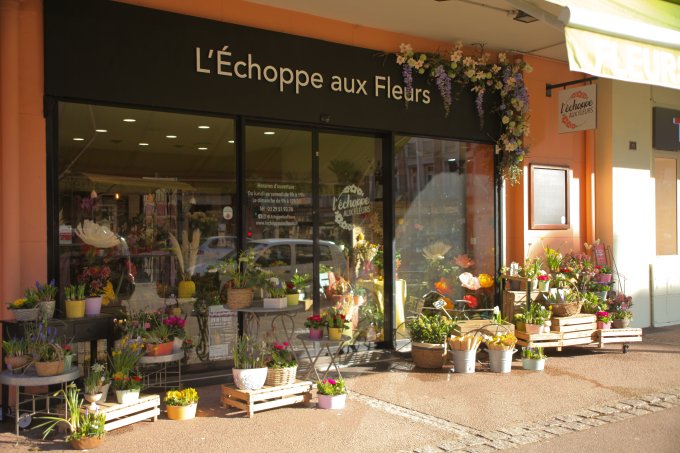 Printemps :  en cours de chargement photo 4